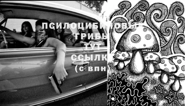 соль ск Нязепетровск