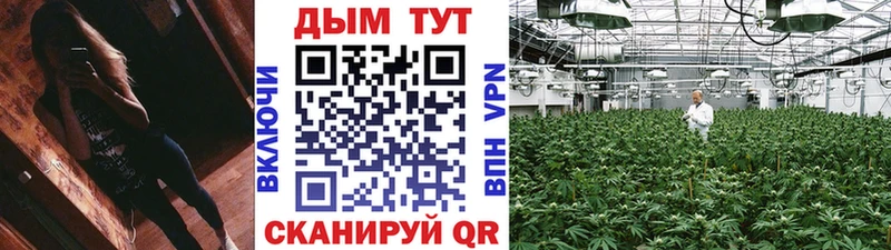 мориарти Telegram Королёв МАРИХУАНА марихуана